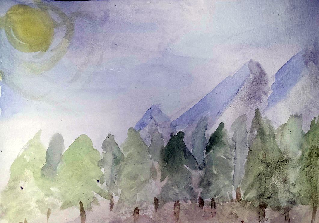 Treehouses, Trails and Plans