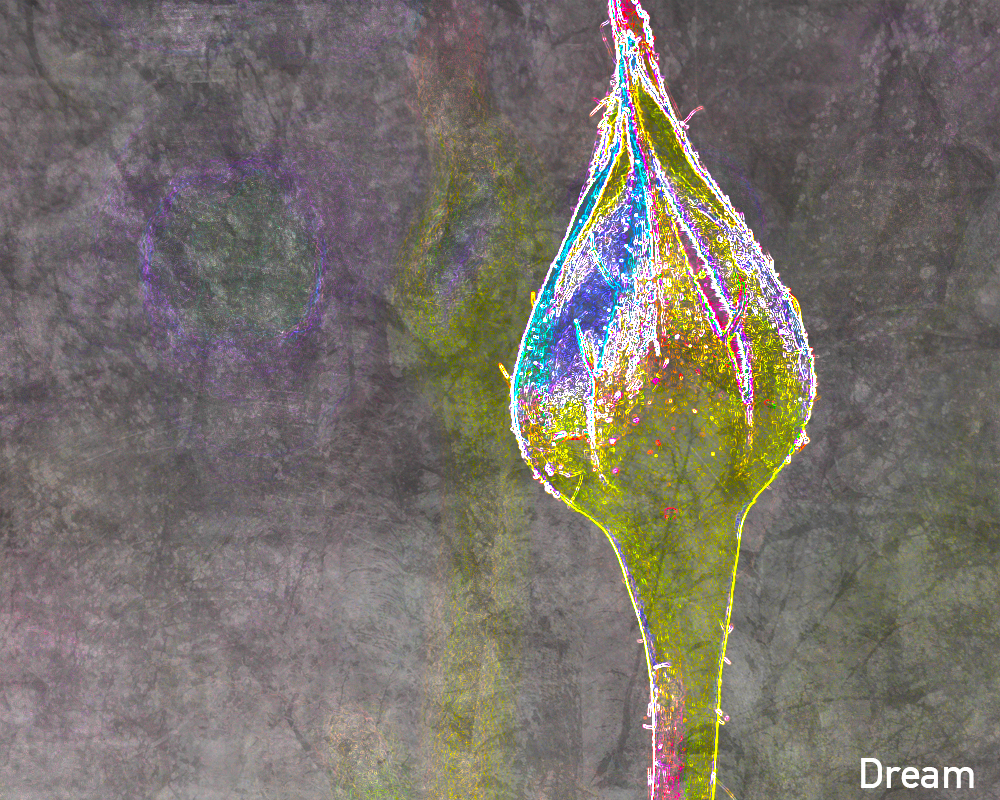 Flower Bud