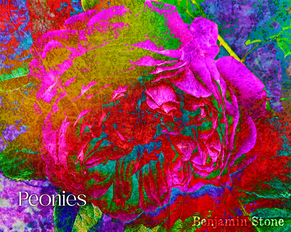 Peonies!