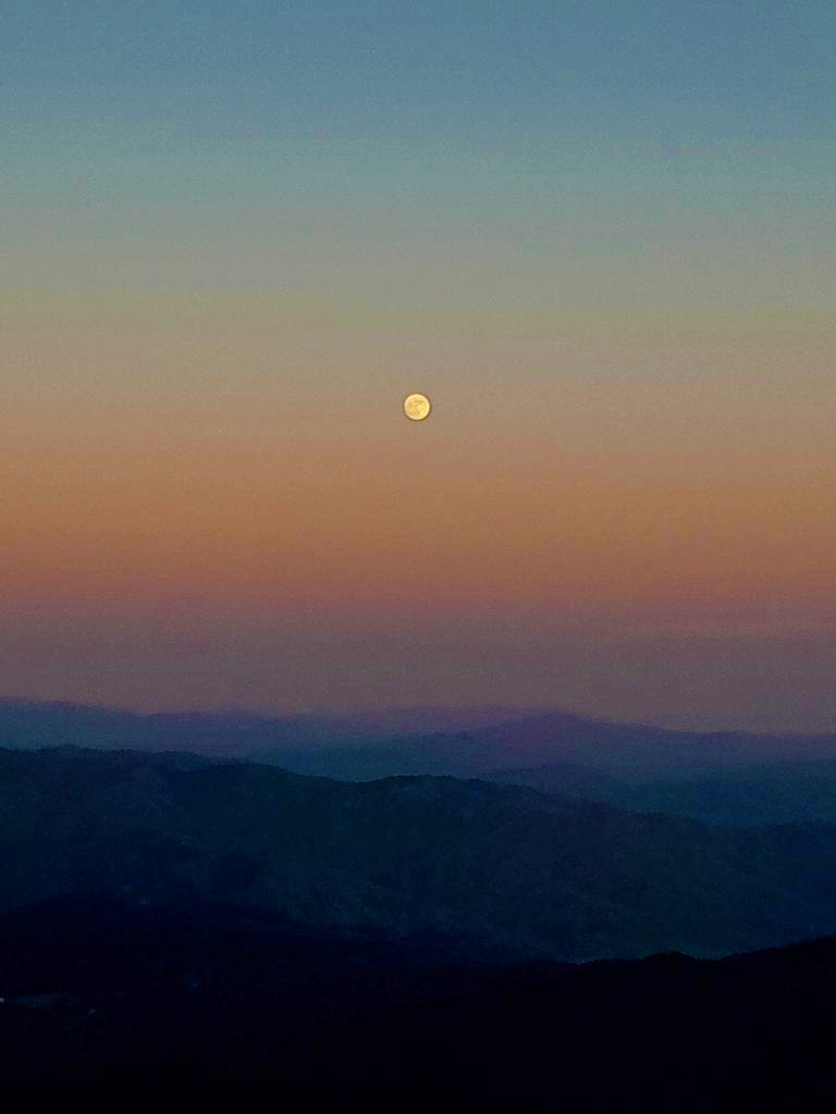 Strawberry Moon Tonight
