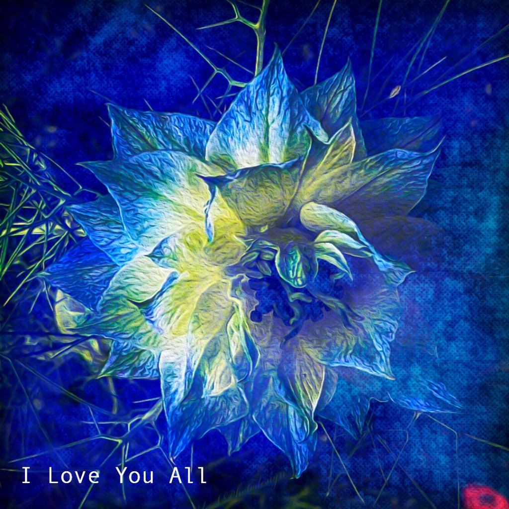 I Love You&nbsp;All