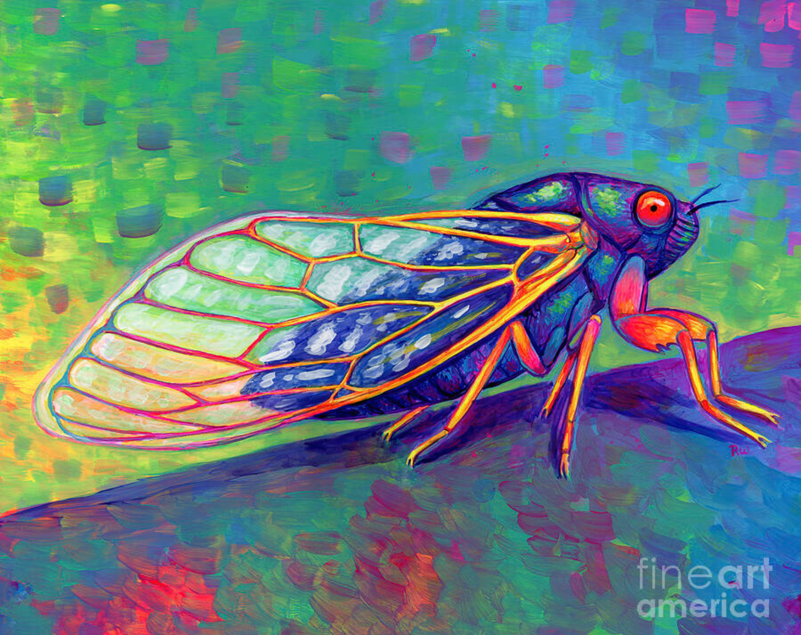 There are 17-year Cicadas
