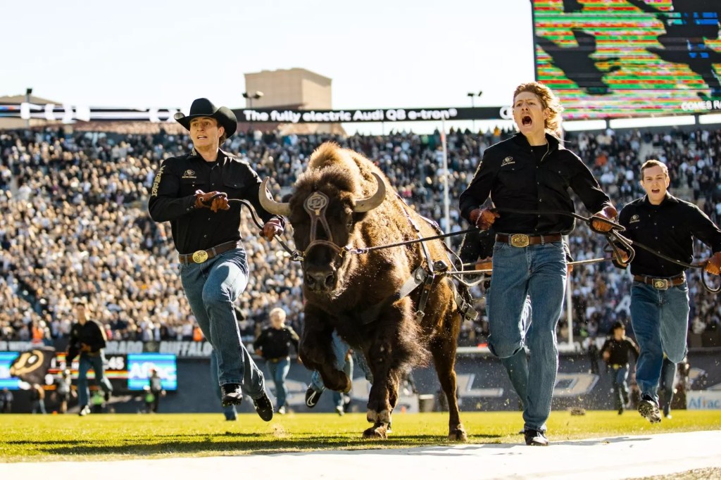 Colorado Buffaloes mascot Ralphie