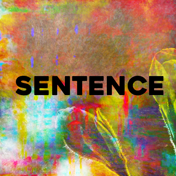 Sentence