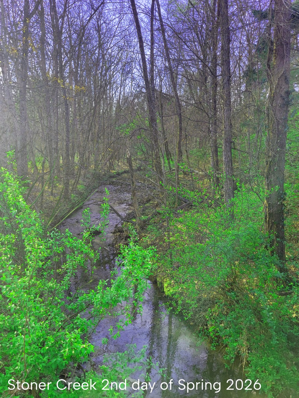 Photos from My&nbsp;Walk
