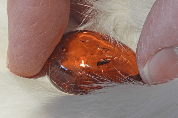 Electricity and Amber