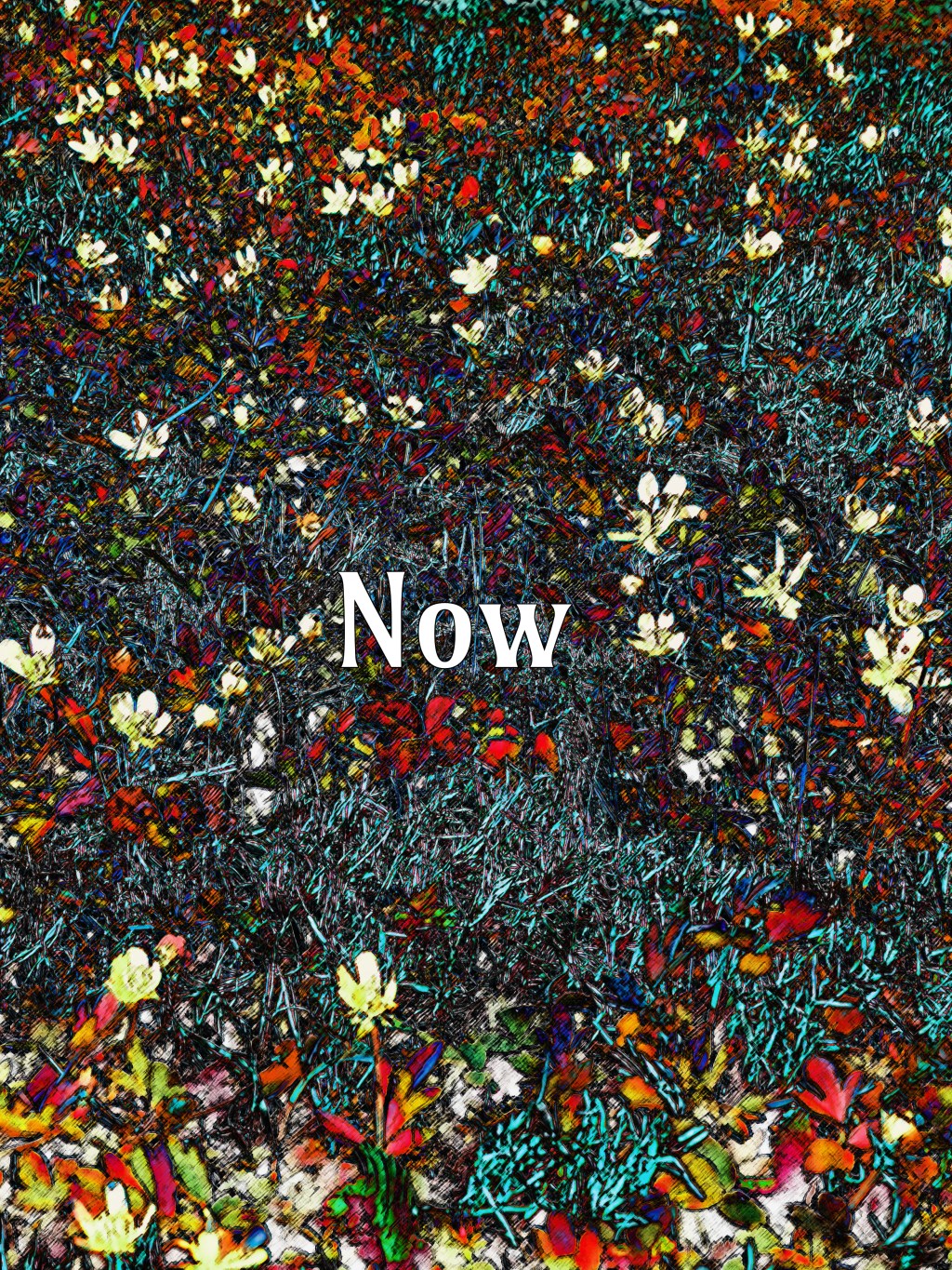 Now Illustration