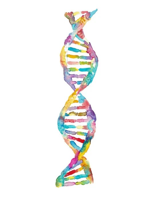 DNA