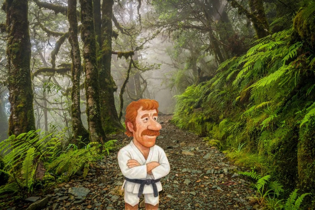 Chuck Norris in a&nbsp;Forest