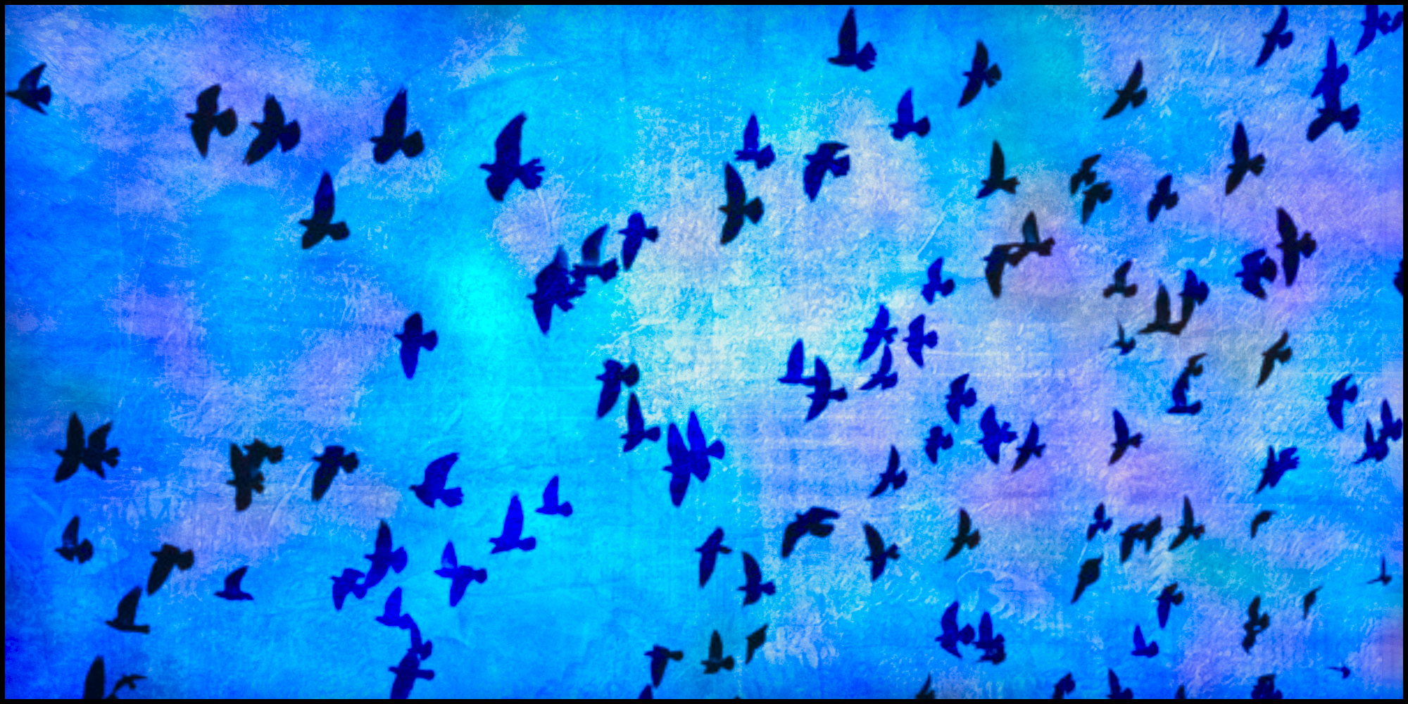 A Murder Took Place (The Crows Helped)