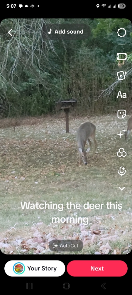 Wildlife Journal Sept 27, 2026